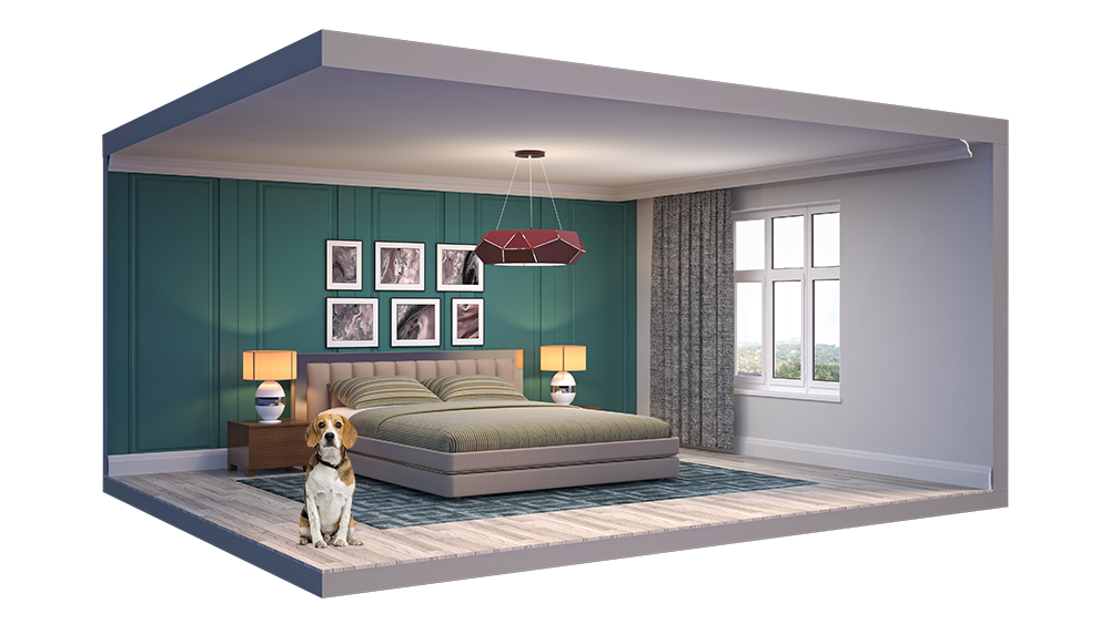 Dog screen for bedbugs