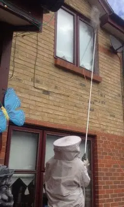 Wasp Nest Treatment