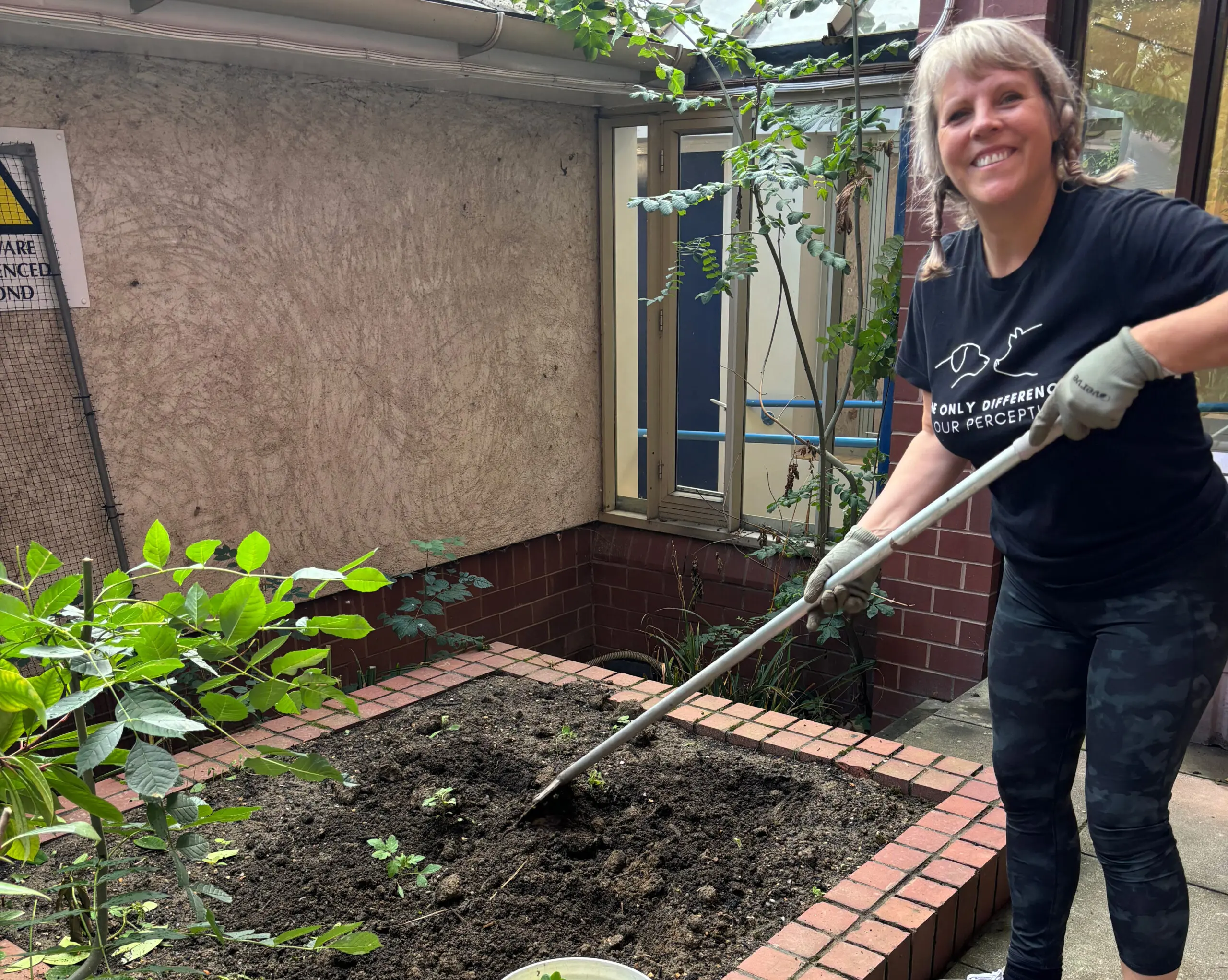 Regenration Project Regenration Project