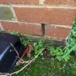 Weep Hole Rodent Proofing