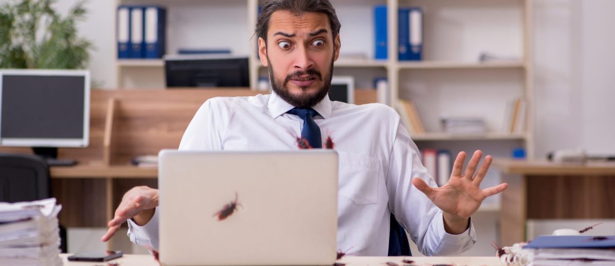 Office Pest Control